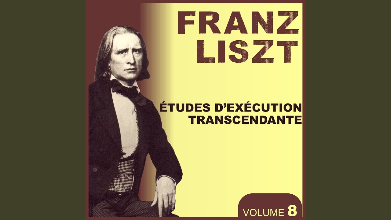 Etudes D'exécution Transcendante No. 4, in D Minor: Mazeppa