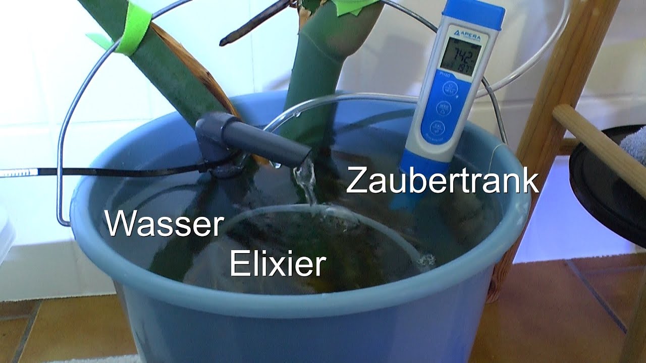 NEU Pflanzen WISSEN erweitern. Das Wasser optimieren zur Versorgung