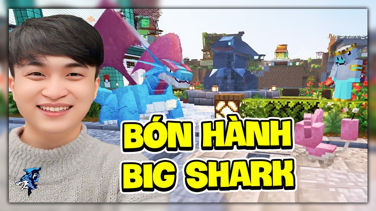 Siro Đang Live...