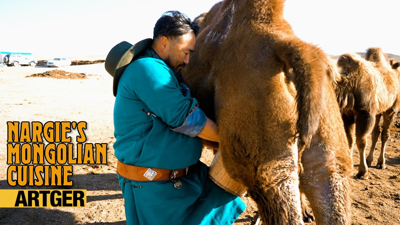 Nargie's Mongolian Cuisine: CAMEL MILK - HOORMOG (The Gobi’s Most Famous Drink)