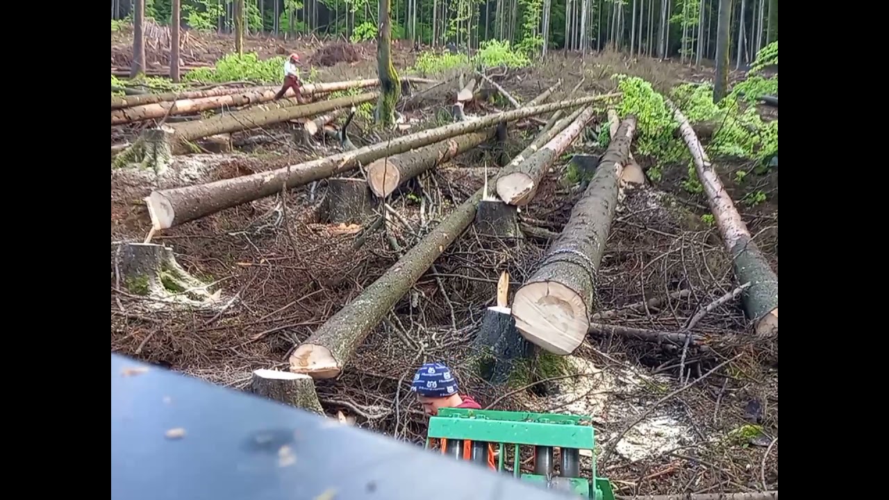 lkt 81 turbo orvex#lkt81 turbo ťažba  mokrého porastu Working in forest