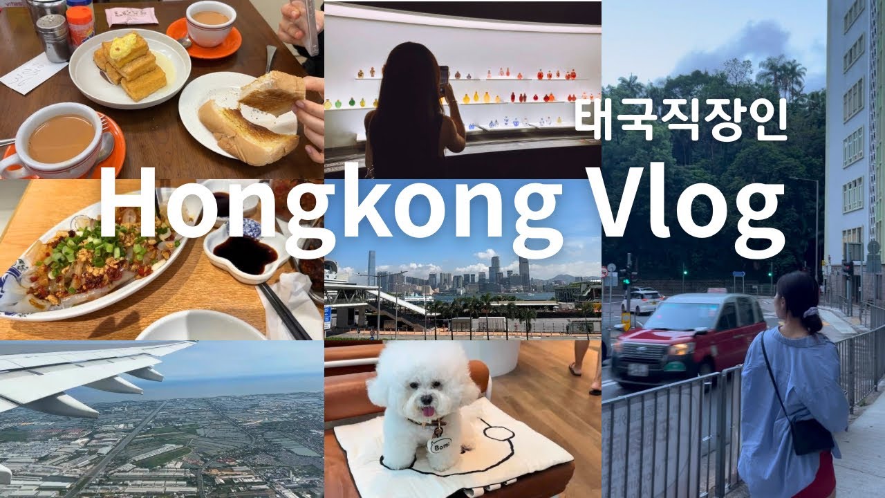 태국 한국인 직장인🇰🇷🇹🇭ㅣ케세이퍼시픽 방콕-홍콩ㅣ수완나폼 공항 라운지ㅣ차찬탱ㅣ홍콩 맛집ㅣ홍콩 카페ㅣThe Hari HongKongㅣ완차이 호텔추천ㅣ보미랑 데이트ㅣ골프연습,피부과