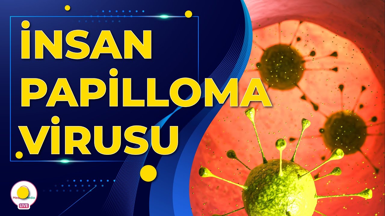 İNSAN PAPİLLOMA VİRUSU / CİNSİYYƏT ORQANINDA YARANAN ZİYİLLƏR/ HPV / UŞAQLIQ BOYNU XƏRÇƏNGİ