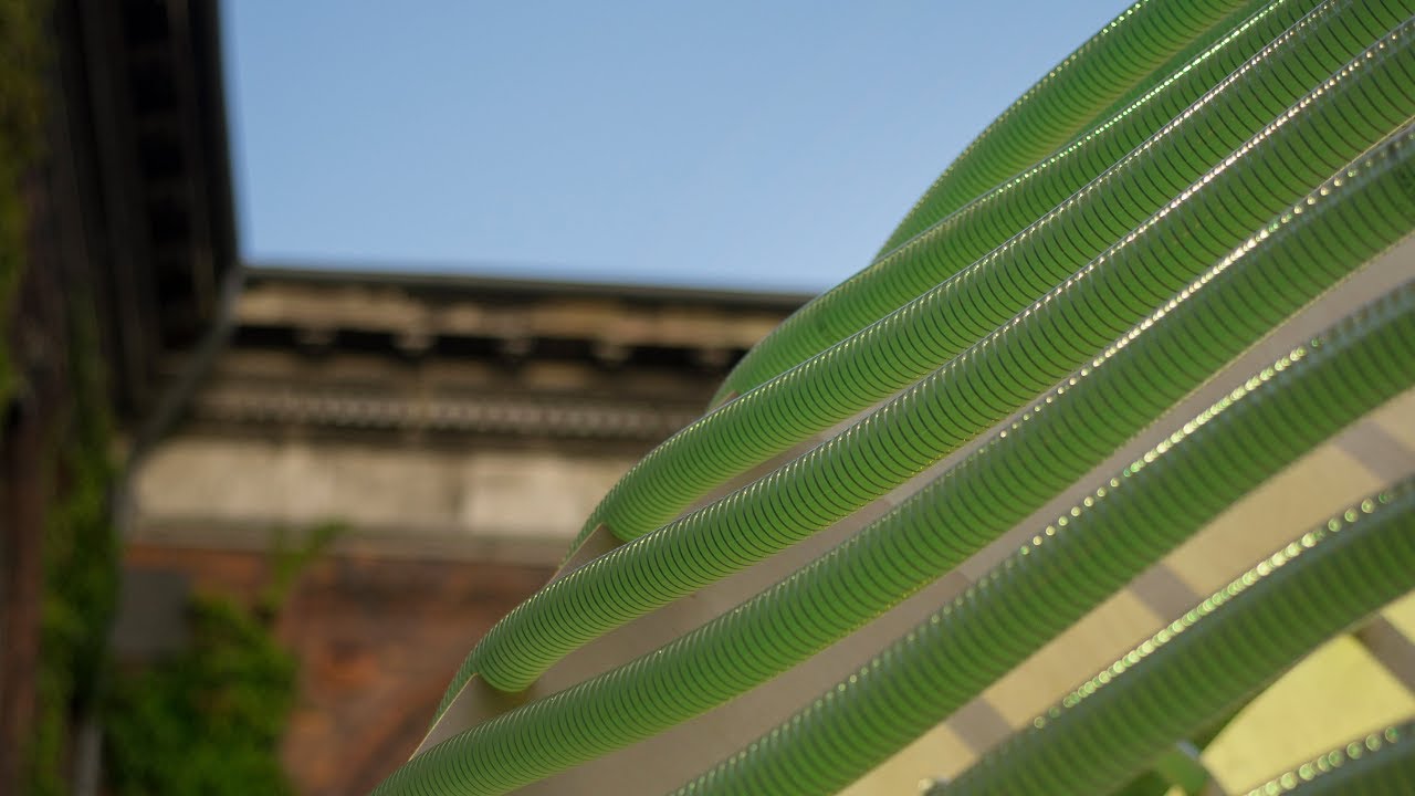 The Algae Dome