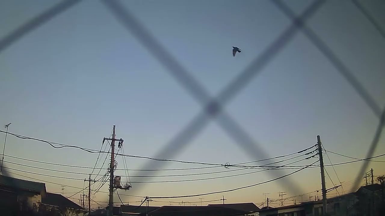 #60 LIVE SKY CAM 24/7 + Relaxing Piano Background | #calm #sleep #study #stream #streaming #tokyo