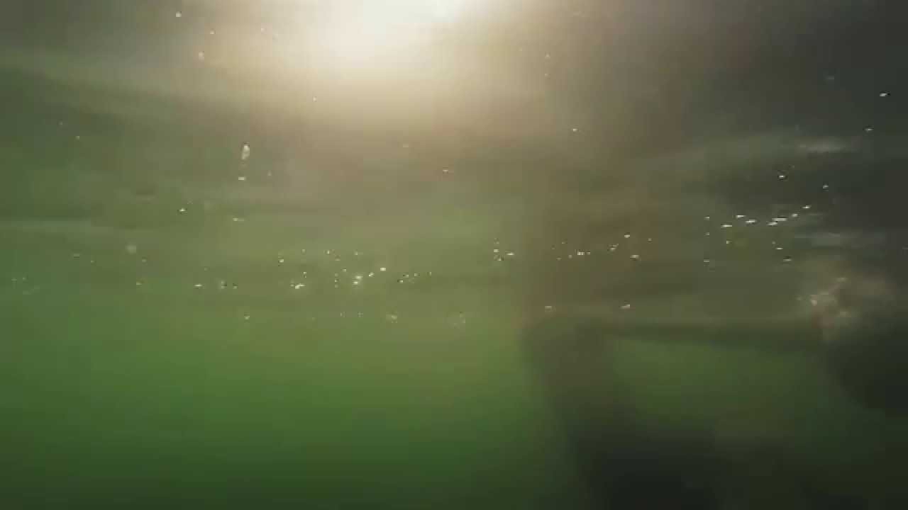 Janzu Water Massage And Dolphin Dance
