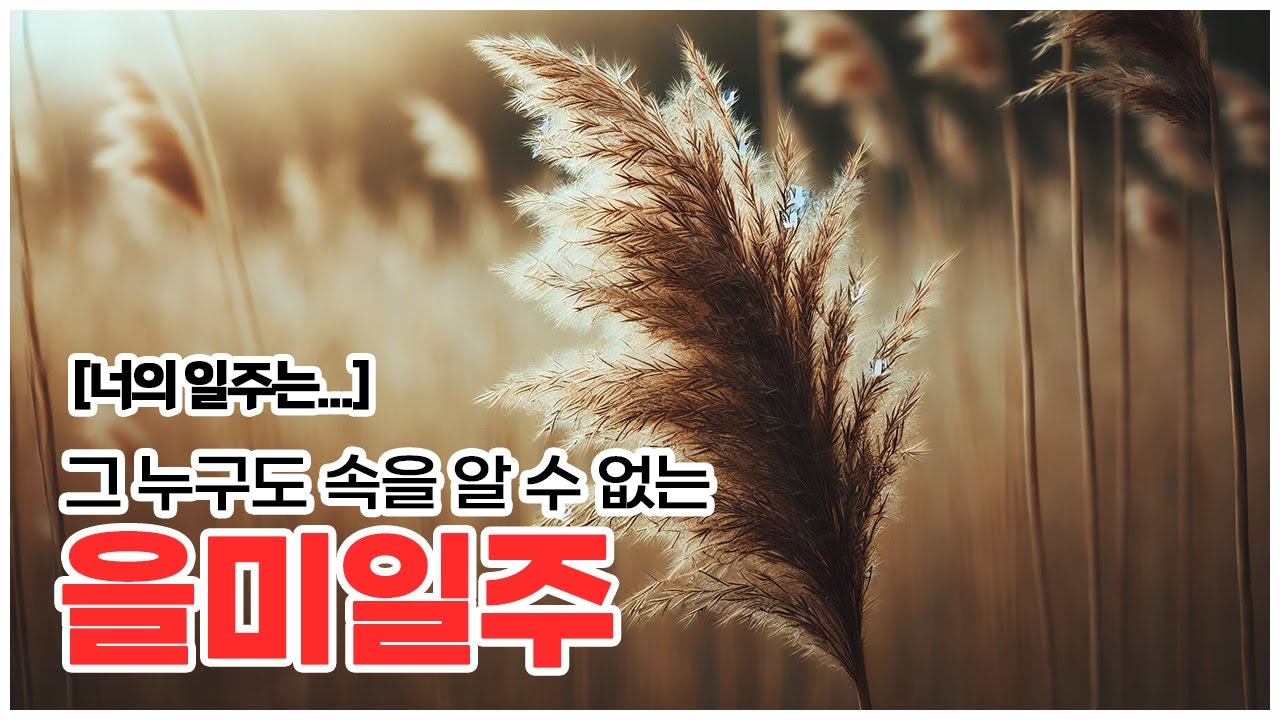 [너의 일주는] 그 누구도 속을 알 수 없는, 을미일주