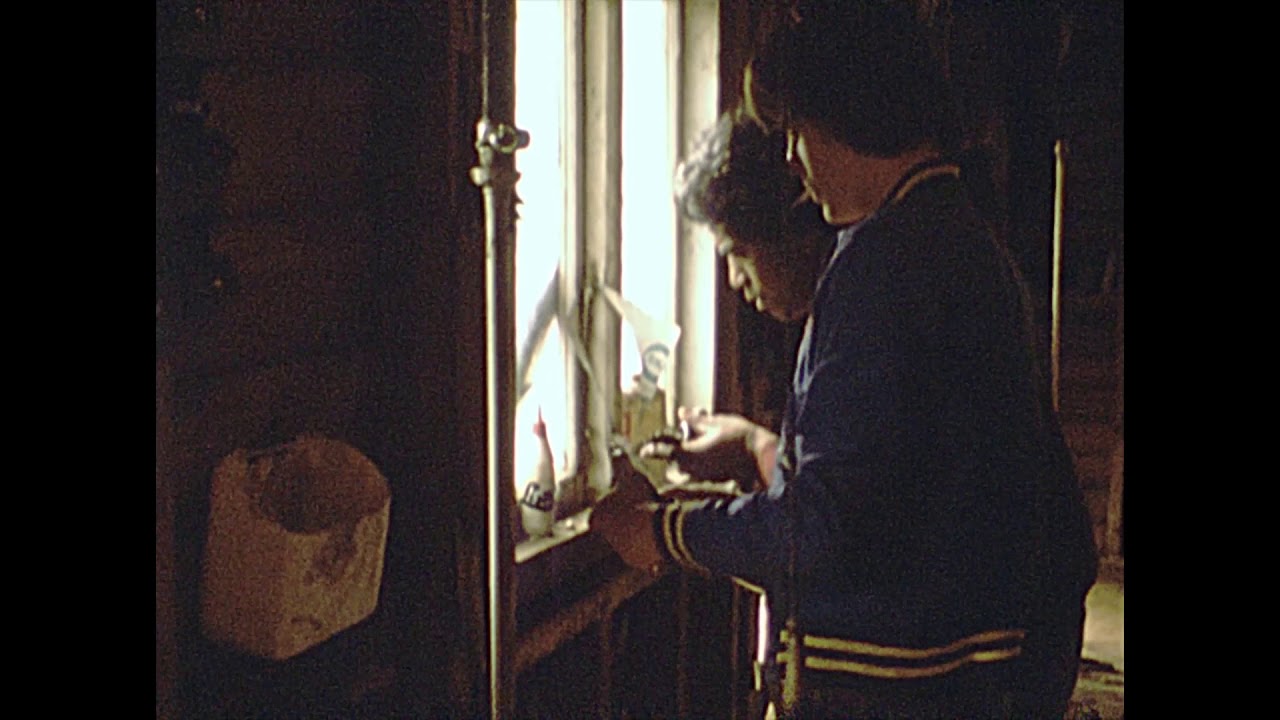 1980 Shearing Sheep in New Zealand - Reel #57