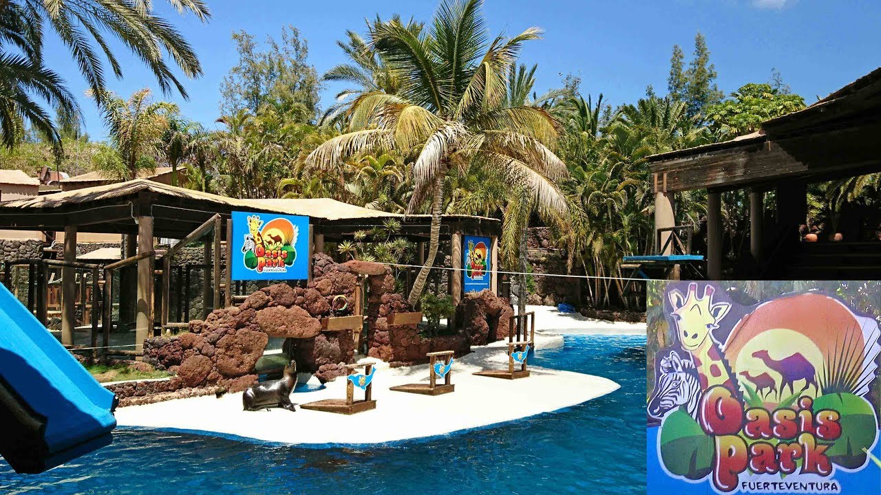Oasis Park Fuerteventura 4K
