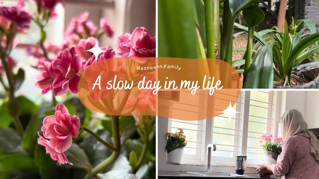 A slow day in my life🌸 #lunchpreparation  #housework #garden #eveningvibes 🌿