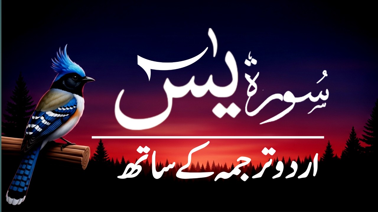Surah Yasin | Surah Yaseen With Urdu Trnslation Full | Ep-004