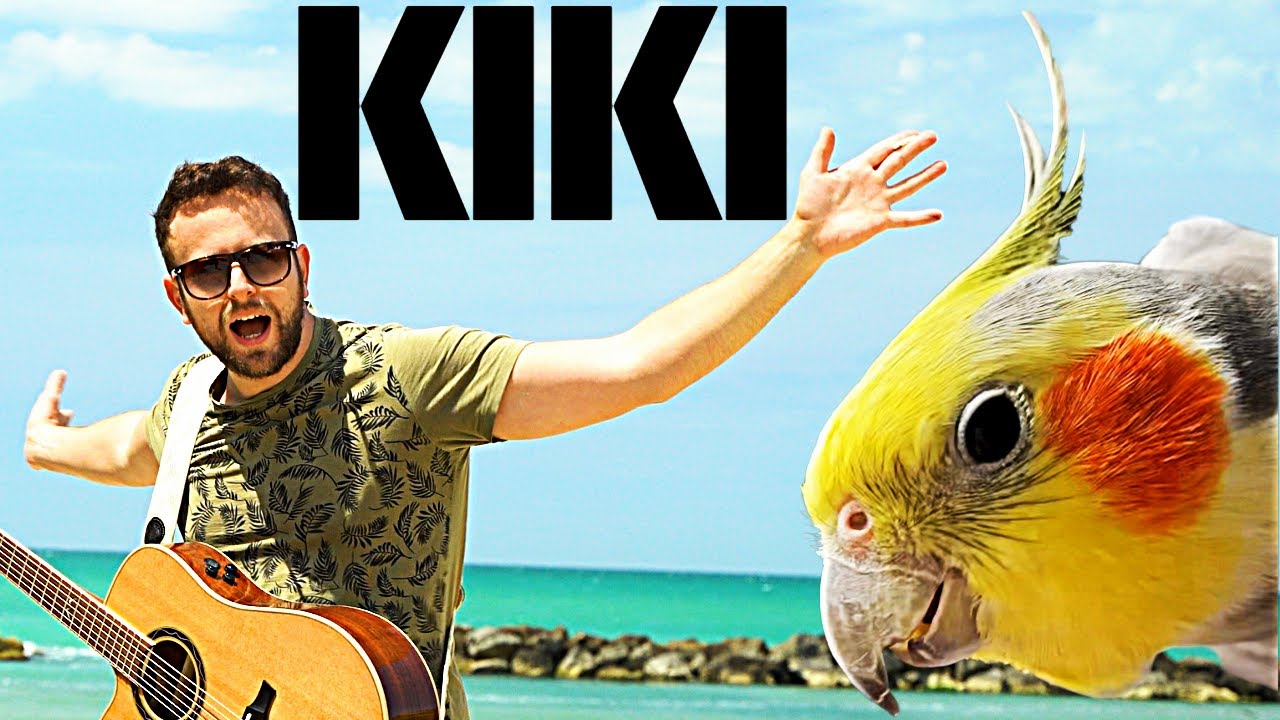 Kiki the Cockatiel x Spaul - 7AM (singing bird)