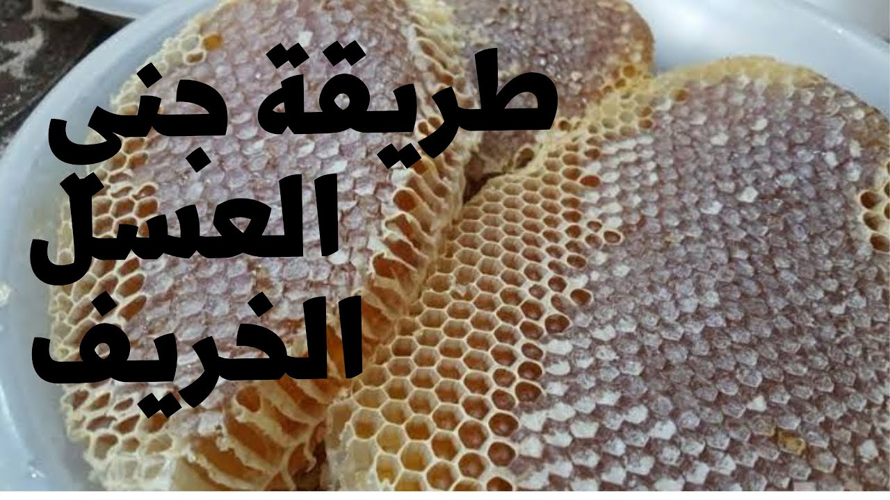 أساليب وطرق نتخذها لي جني عسل فصل الخريف