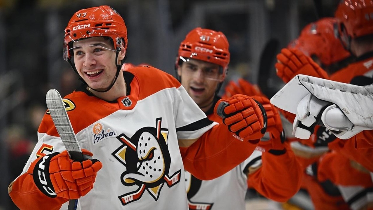 Why the Anaheim Ducks are must see TV