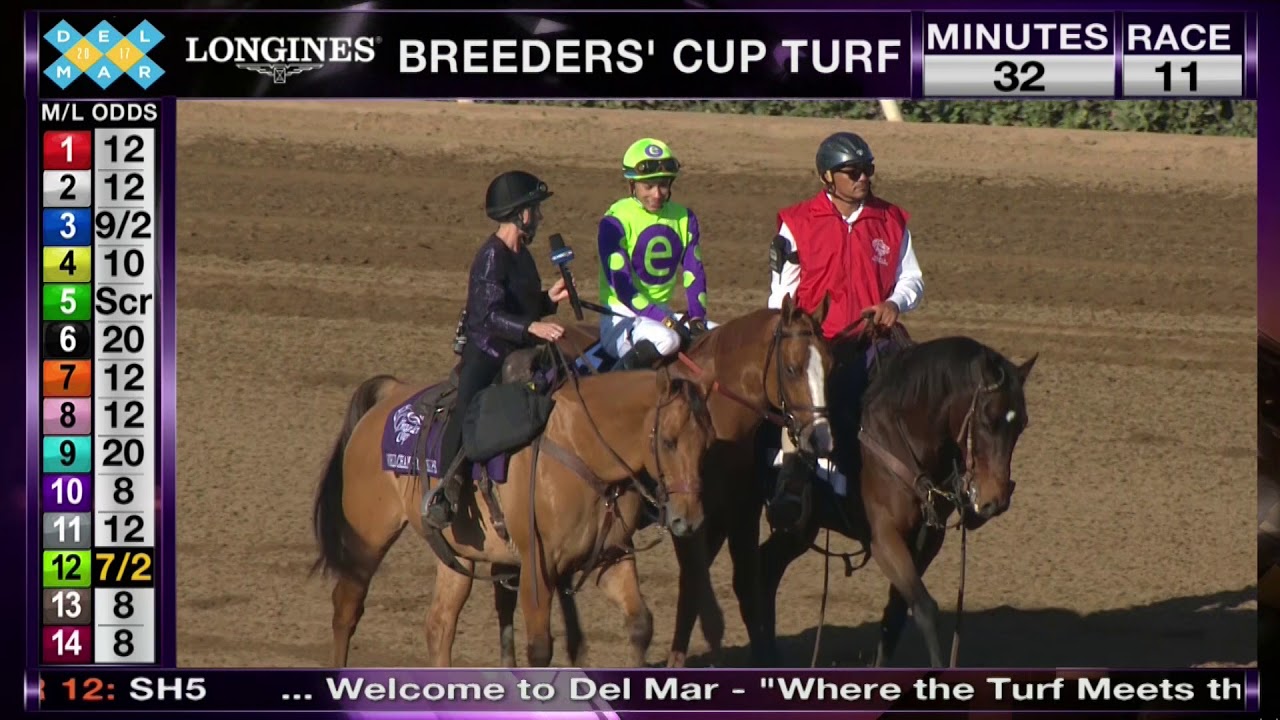 Good Magic Wins Sentient Jet Breeders' Cup Juvenile Grade I Race 10  at Del Mar 11/04/17
