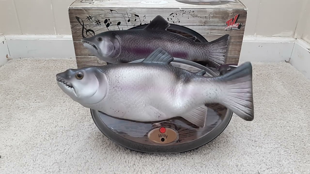 WILLY Die Singende Forelle singing fish