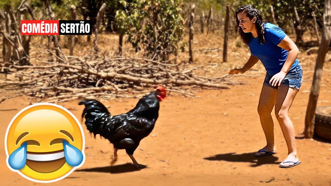 TENTE NÃO RIR: VÍDEOS ENGRAÇADOS 2025 E MEMES - #57