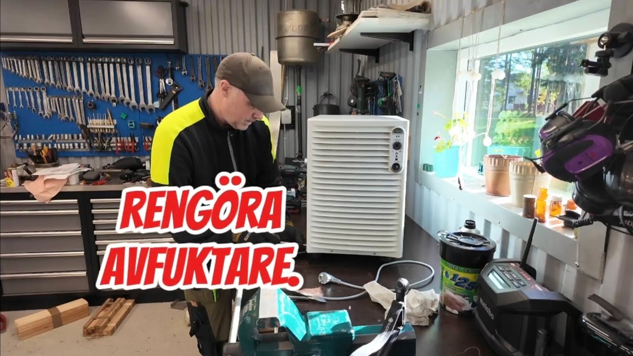 Rengöra Wood's avfuktare. 