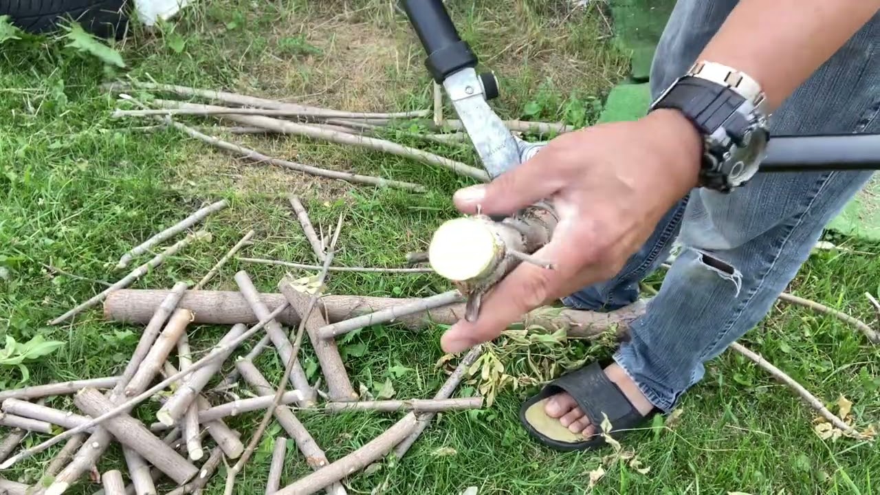 Best tool for cutting tree branches