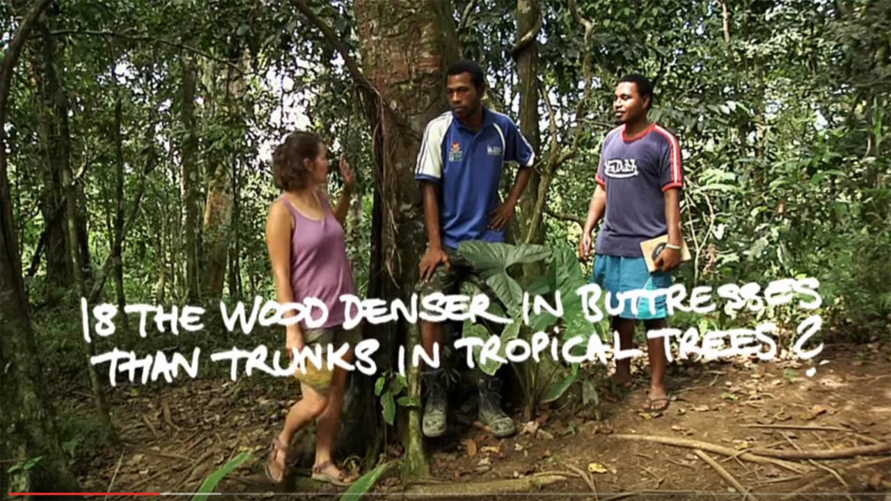 Adventures of Tropical Ecology