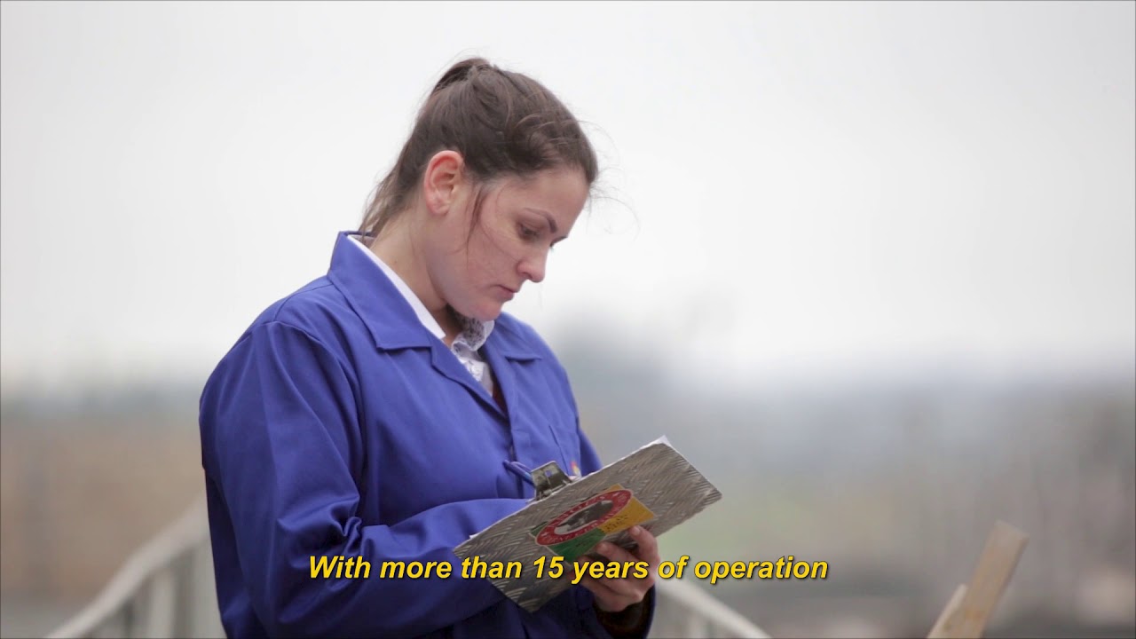 Conhe&ccedil;a a ra&ccedil;a Angus!