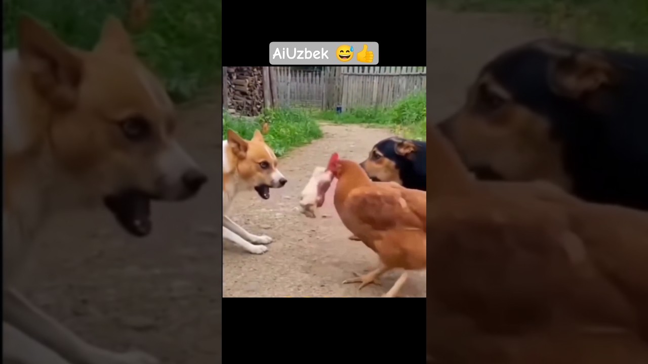 AiUzbek 😅👍 #aiuzbek #ai #dog