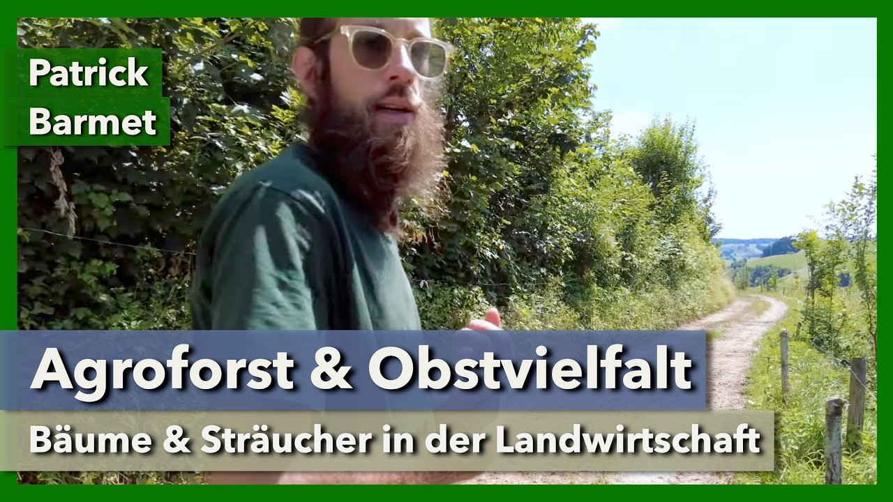 Syntropischer Agroforst & wilde Baumschule am Bergbauernhof | Patrick Barmet | 2024 | Teil 5