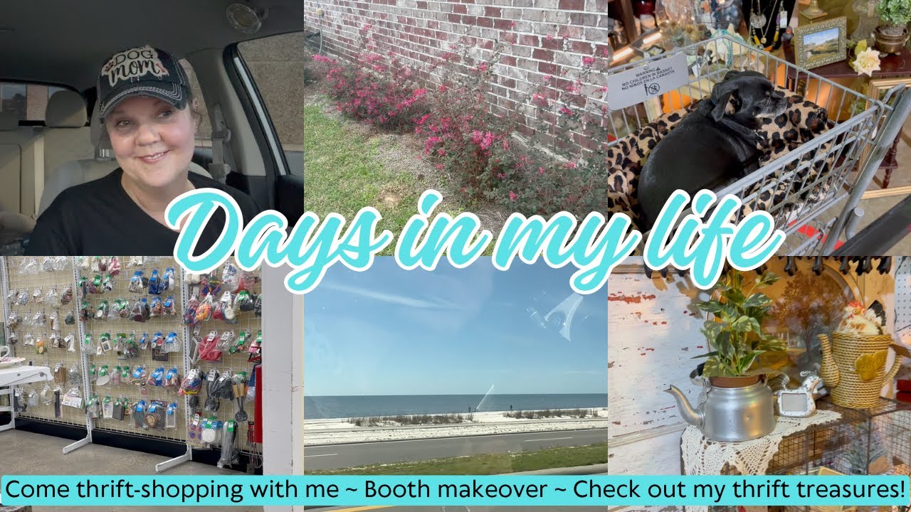 THRIFT WITH ME + restocking the booth!  Few days in my life/my heart wasn’t in it… 😬 #thrifthaul