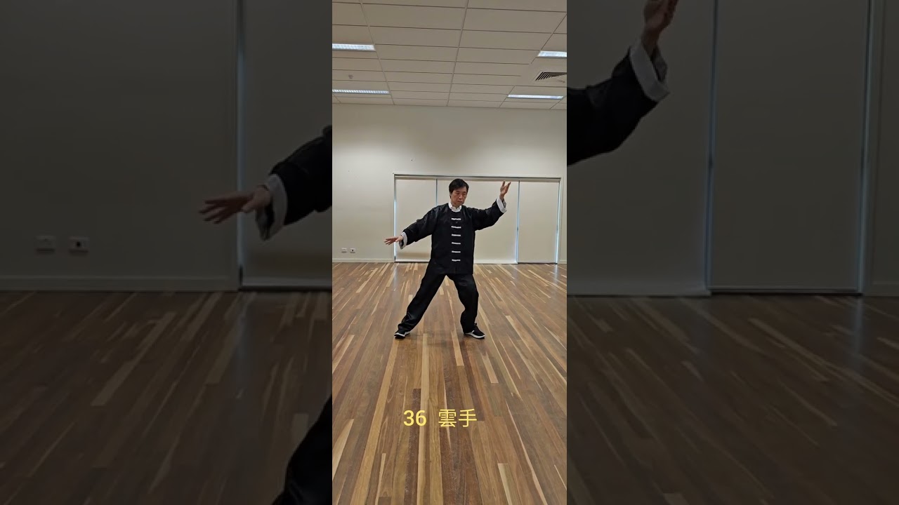 吳式鄭家太極  - 119式方拳 | Wu Style Tai Chi Square Form 119 Styles