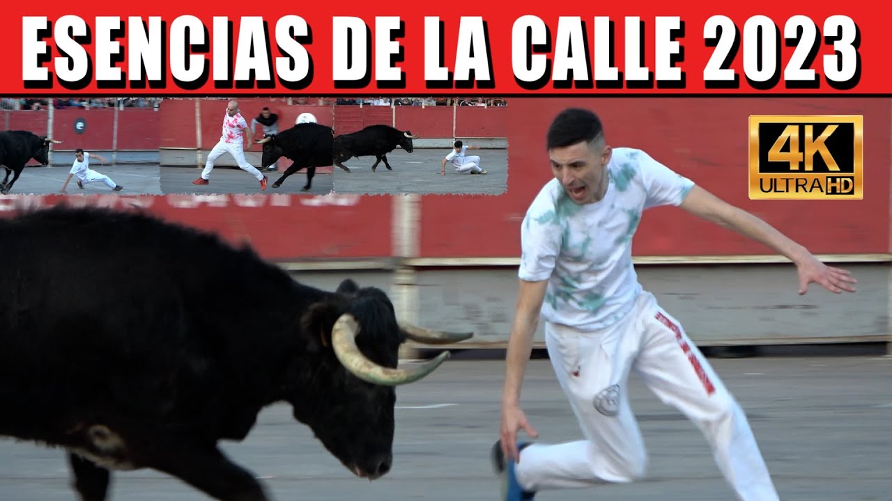 💯👌ESENCIAS DE LA CALLE 2023