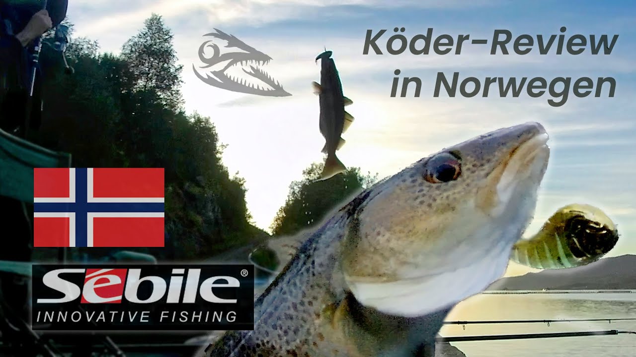 Ungew&ouml;hnliche K&ouml;der in Norwegen getestet: Sebile Flatt Stick Shad - Review!