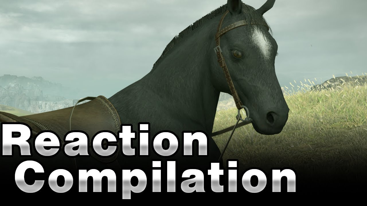 Shadow Of The Colossus (PS4) - Streamers' BLIND Reactions To Agro Jump