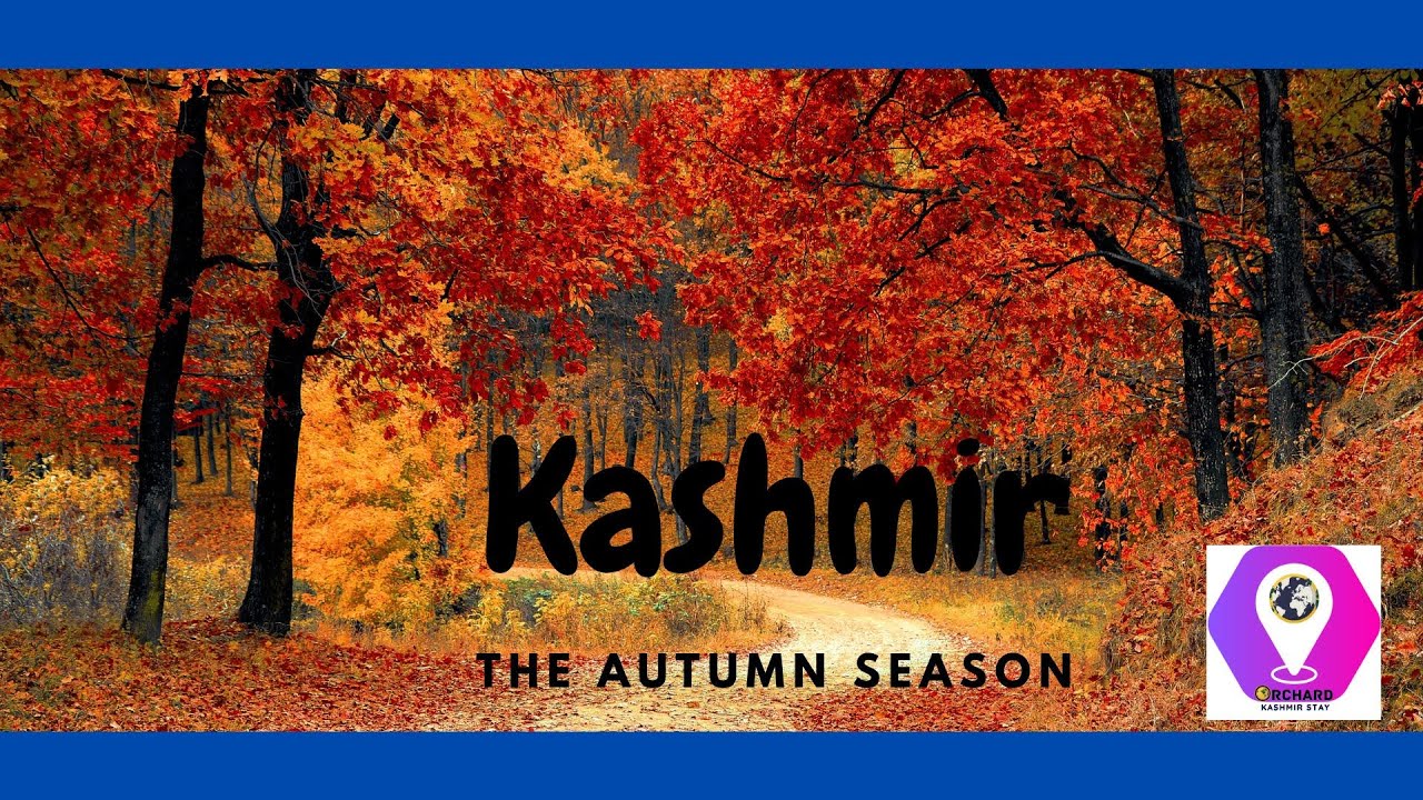 Autumn Season Kashmir | Orchard Kashmir Stay | The Paradise on Earth | Vlog 0001