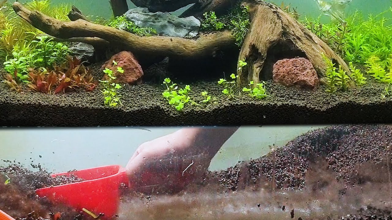 #水草設缸翻缸篇12~水草生態 用木頭跟石頭來做一個超簡單混搭風