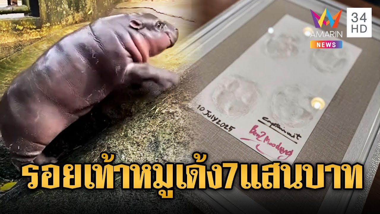 ฮือฮารอยเท้าหมูเด้งครบ 1 ขวบเปิดประมูลได้ 7 แสน | ข่าวอรุณอมรินทร์ | 11/7/68