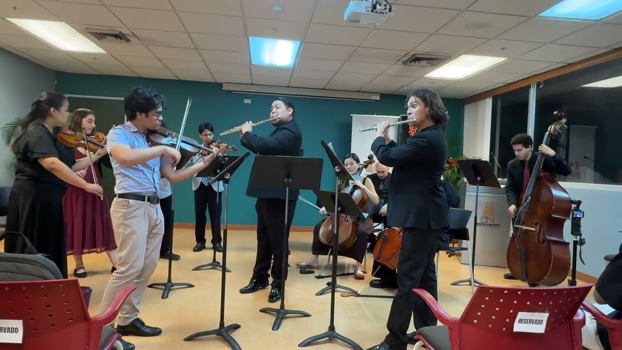 Brandenburg Concerto 4 Presto