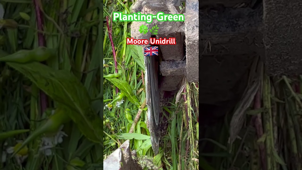 Planting-Green Moore Unidrill