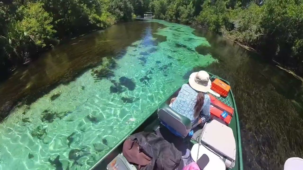 VR 360° Your personal connection to the great outdoors.1 Weeki Wachee River| | Virtual 3D Meta Quest