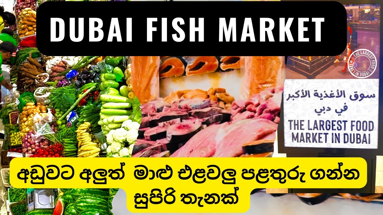 Inside Dubai’s Largest Food Market | Dubai Fish Market | ඩුබායි මාළු ඇත්තටම ලාබද 