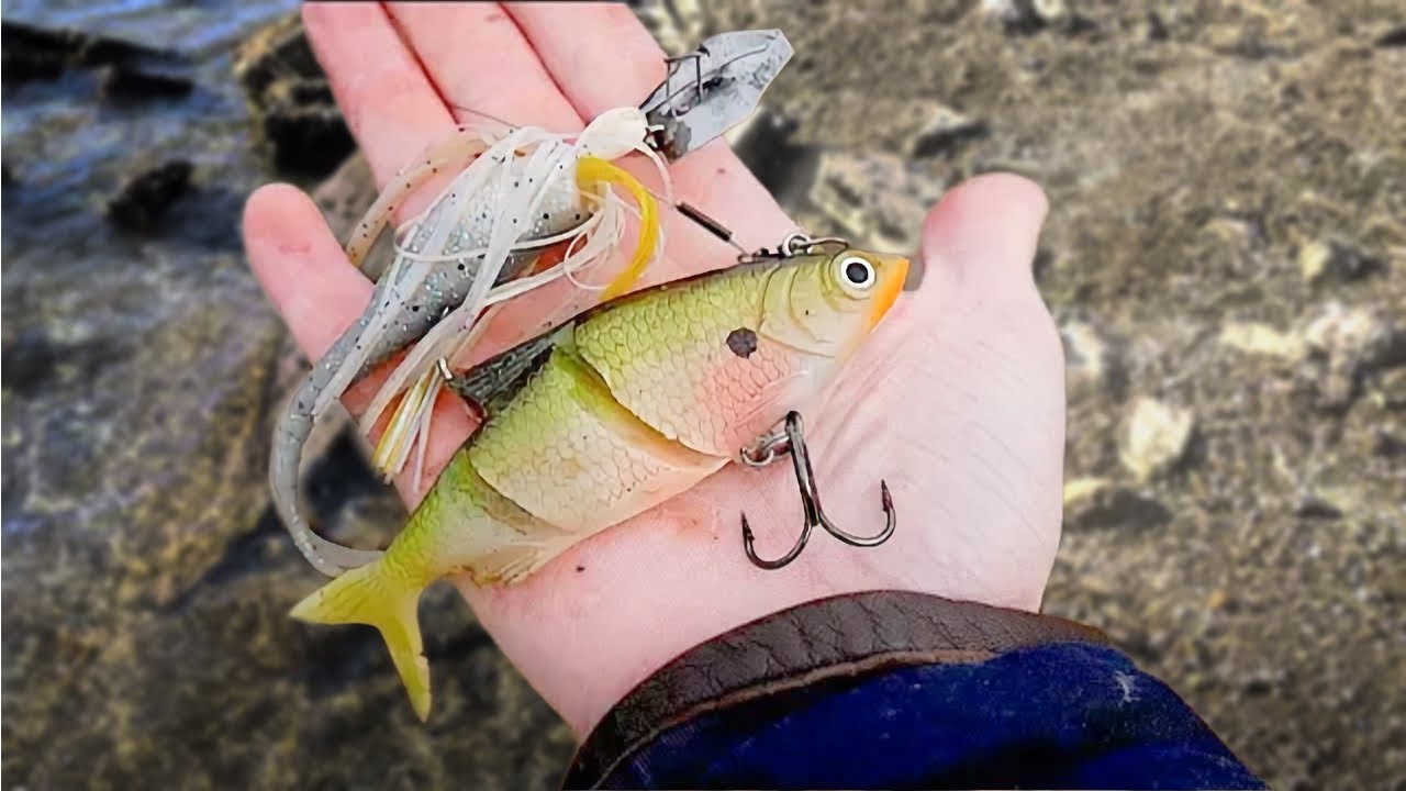 Finding Free Fishing Lures in a drained lake!