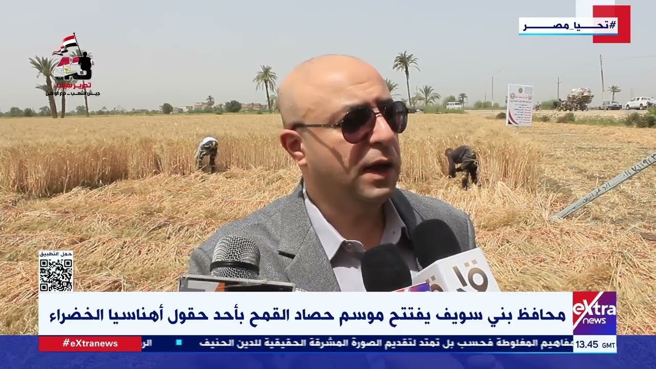 محافظ بني سويف يفتتح موسم حصاد القمح بأحد حقول أهناسيا الخضراء