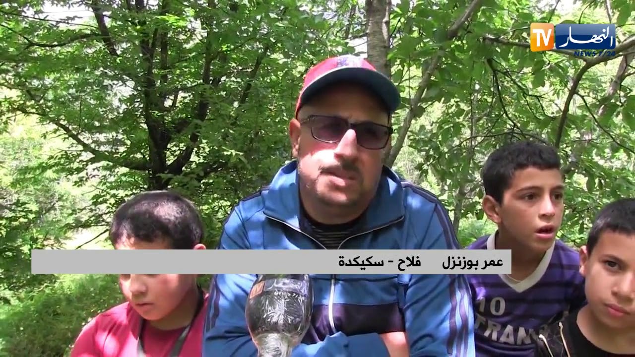 سكيكدة:  تسجيل تراجع كبير في إنتاج الكرز بمنطقة أفنسو