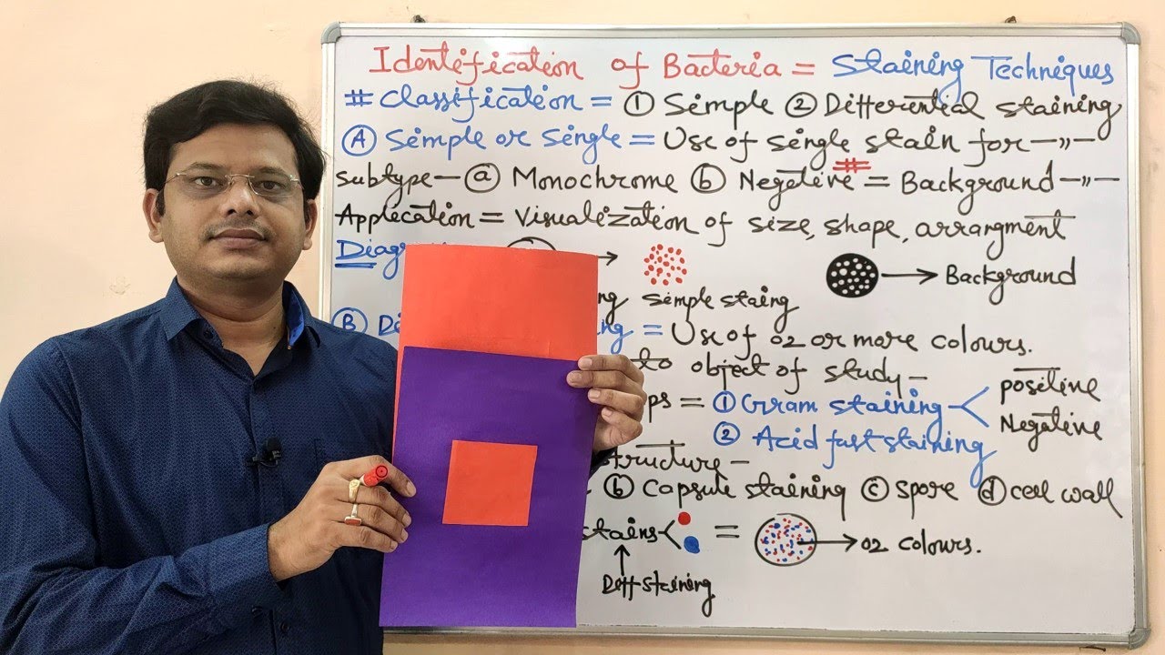 Microbiology 47 = Identification of Bacteria (Part-02) | Staining Techniques Classification