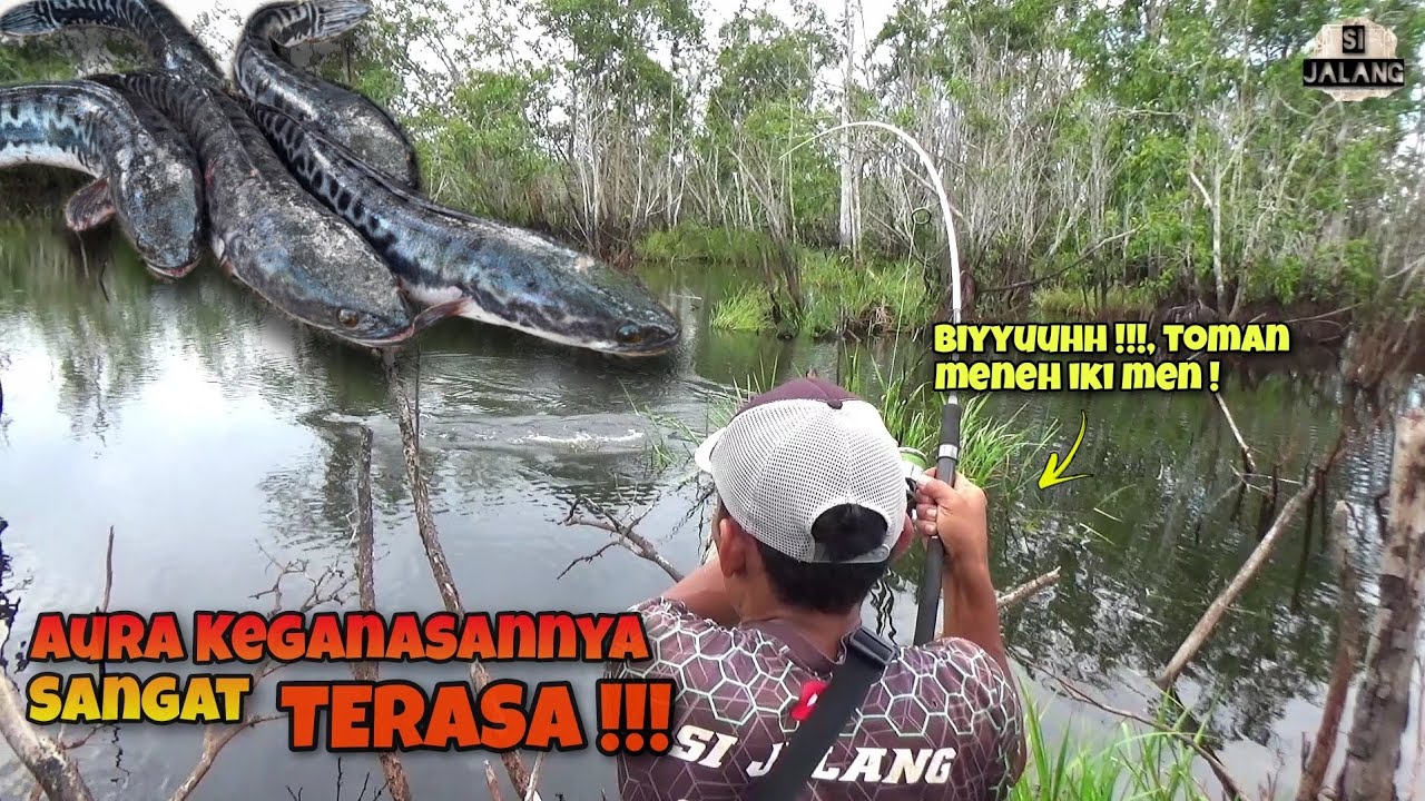 Dari Auranya Pun Sudah Terasa, Spot Ini Sungguh Penuh Dengan Kejutan !