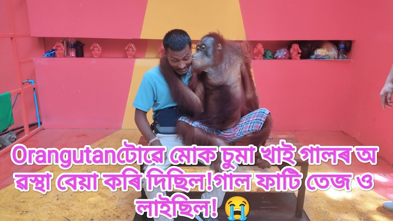 With an naughty Orangutan at #safariworldbangkok ,Thailand