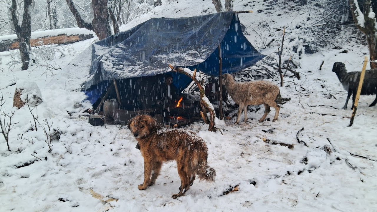 This is Himalayan Village During The Snowfall || Most Relaxing || Mountain Documentary Video