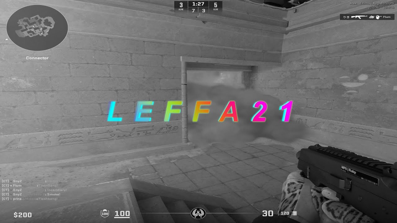 LEFFA21