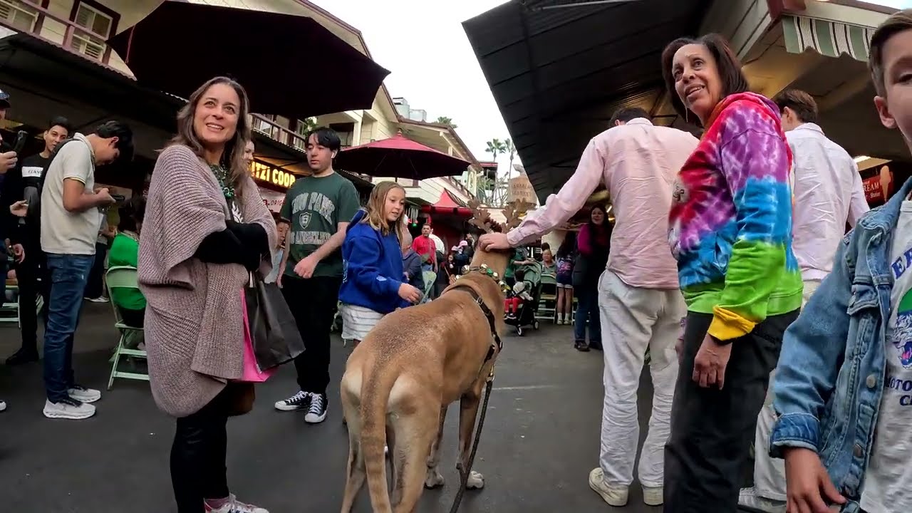 Cash 2.0 Great Dane-deer at The Grove 2024 (6 of 8)