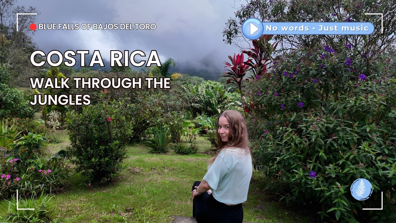 Blue Falls of Bajos del Toro | Peaceful 4K Jungle Walk in Costa Rica
