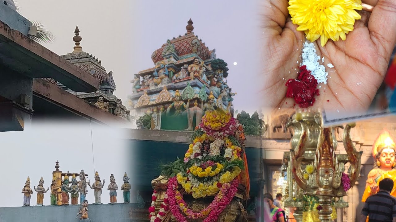 அனைவருக்கும் இனிய புத்தாண்டு நல்வாழ்த்துக்கள் 2026 குரு பிரதோஷம் 🕉️ அபிஷேகம் ஆராதனை🙏 #sathyadinesh